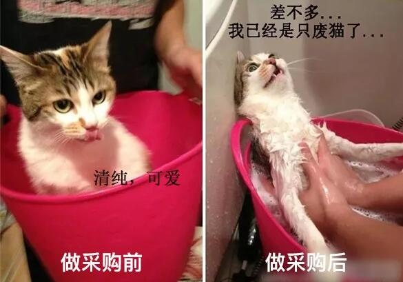 自动化行业采购，你们的“单”云点搞定！
